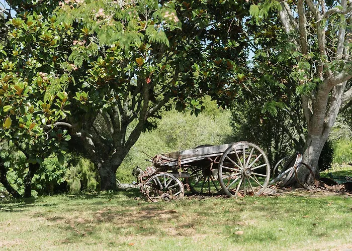 Vineyard Cottages - Kumeu